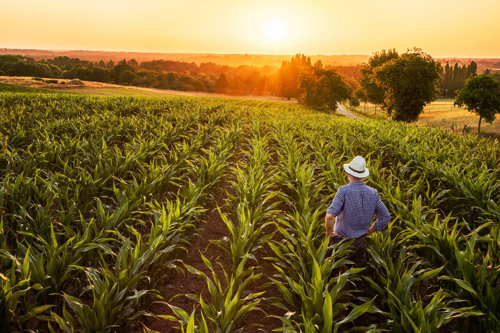 Life & Income Insurance